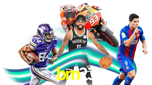 bm23