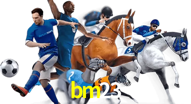 bm23